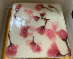 清清凉凉、甜而不腻的8寸樱花酸奶慕斯蛋糕
