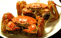 清蒸螃蟹、沙虾