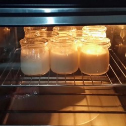 德普烤箱自制酸奶