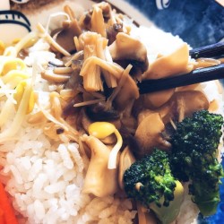 薏米蘑菇饭