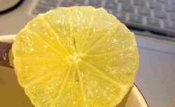 蜜渍柠檬(2)