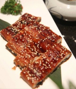 美味DIY 蜂蜜汁烤鳗鱼