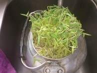 自制绿豆芽的做法