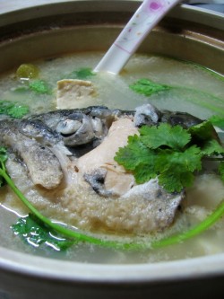三文鱼头豆腐汤(1)