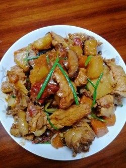 [飞禽走兽]--传统东北菜[鸡肉炖土豆]